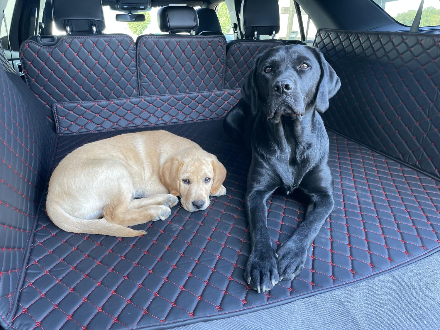 CARSTYLER® Easy Cover Geeignet Für Mercedes Benz GLC X253, 2019-2022