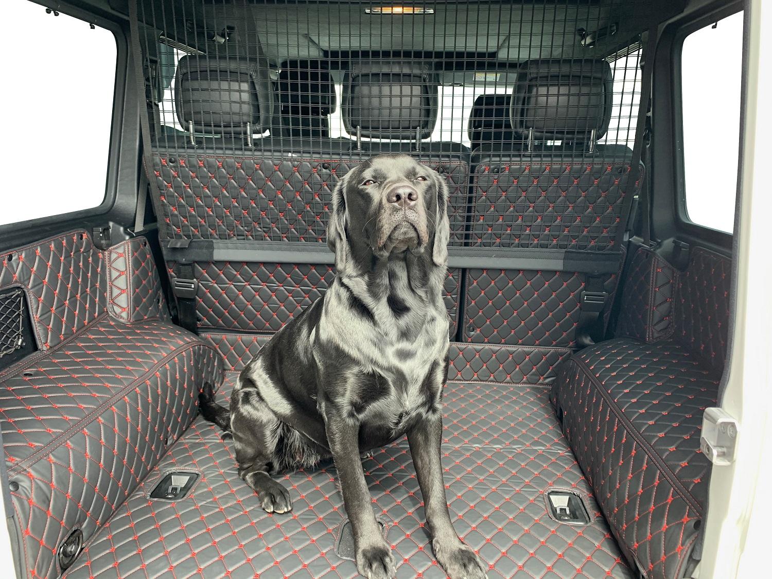 CARSTYLER® Exclusive Kofferraummatte Geeignet Für Mercedes Benz GLE W166 Leder Schwarz Faden Rot